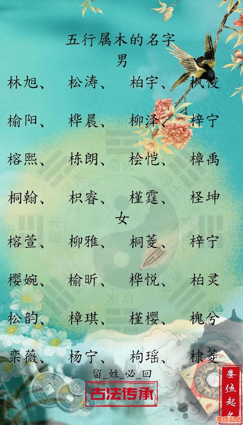 2025年好听带木字旁的女孩名字精选_诗意柔美_收藏必备-第1张图片