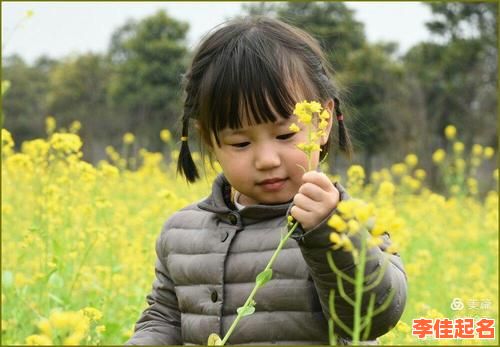 陈语晨这个名字怎么样 陈语什么名字好听女孩-第1张图片