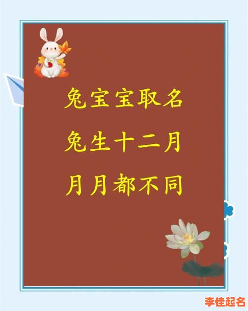 未时女孩兔年命运 兔年未时出生的女孩名字-第1张图片