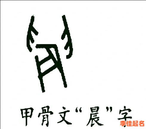 晨的意思在名字里女孩 晨字女孩名字的意思及寓意-第1张图片